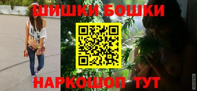 молекула духа Будённовск