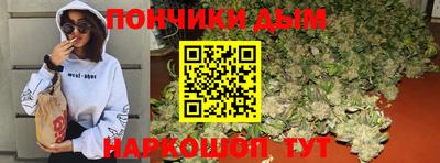 молекула духа Будённовск