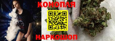 молекула духа Будённовск