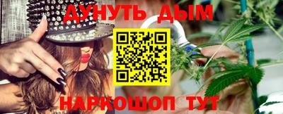 молекула духа Будённовск