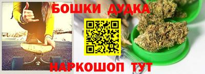 молекула духа Будённовск